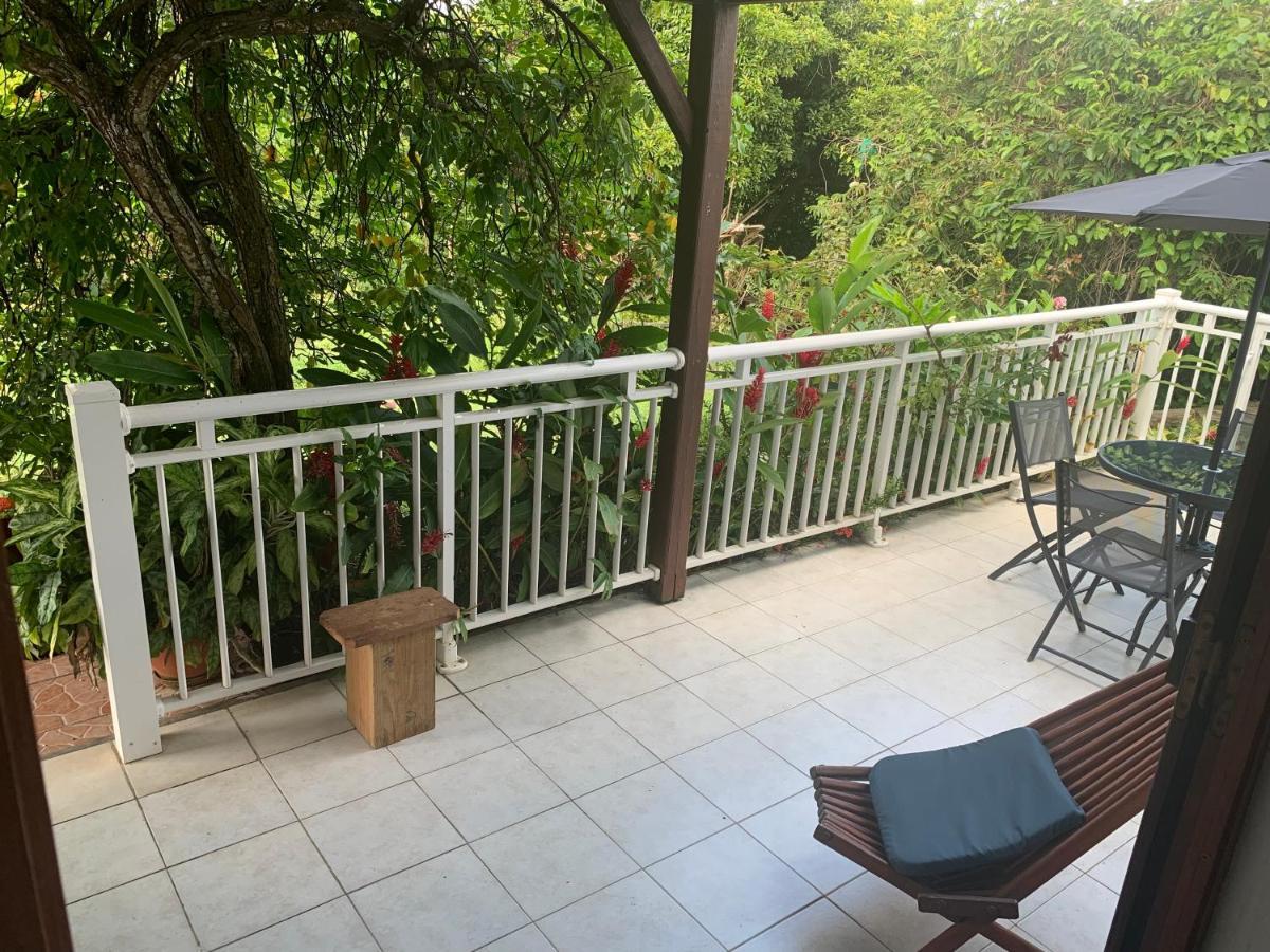 Logement Vacances Gissac Sainte-Anne 外观 照片